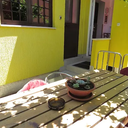 Mira * Medolino
